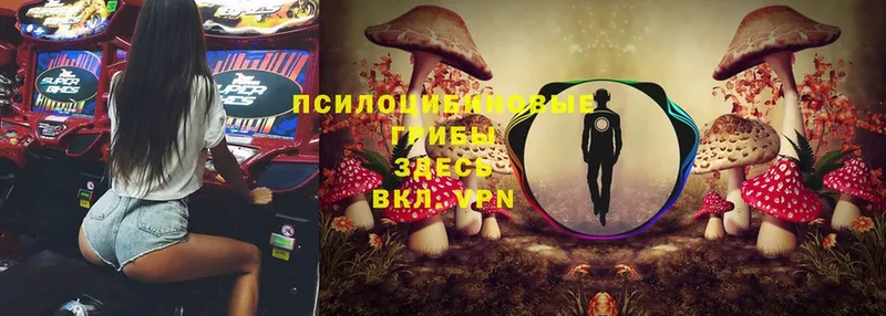 Галлюциногенные грибы MAGIC MUSHROOMS  Вихоревка 